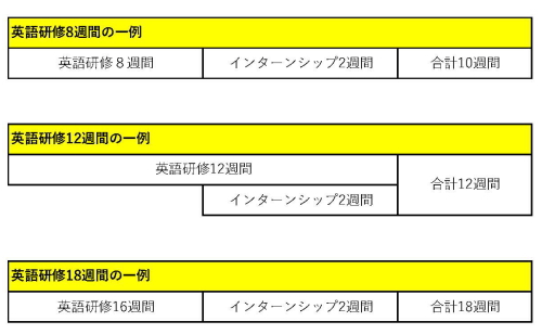 語学＋インターンシップスケジュール例